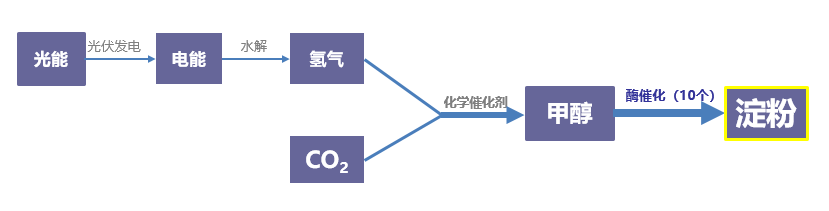 王4.png