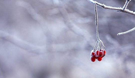 pexels-pixabay-64705-小图.jpg pexels-pixabay-64705-小图.jpg