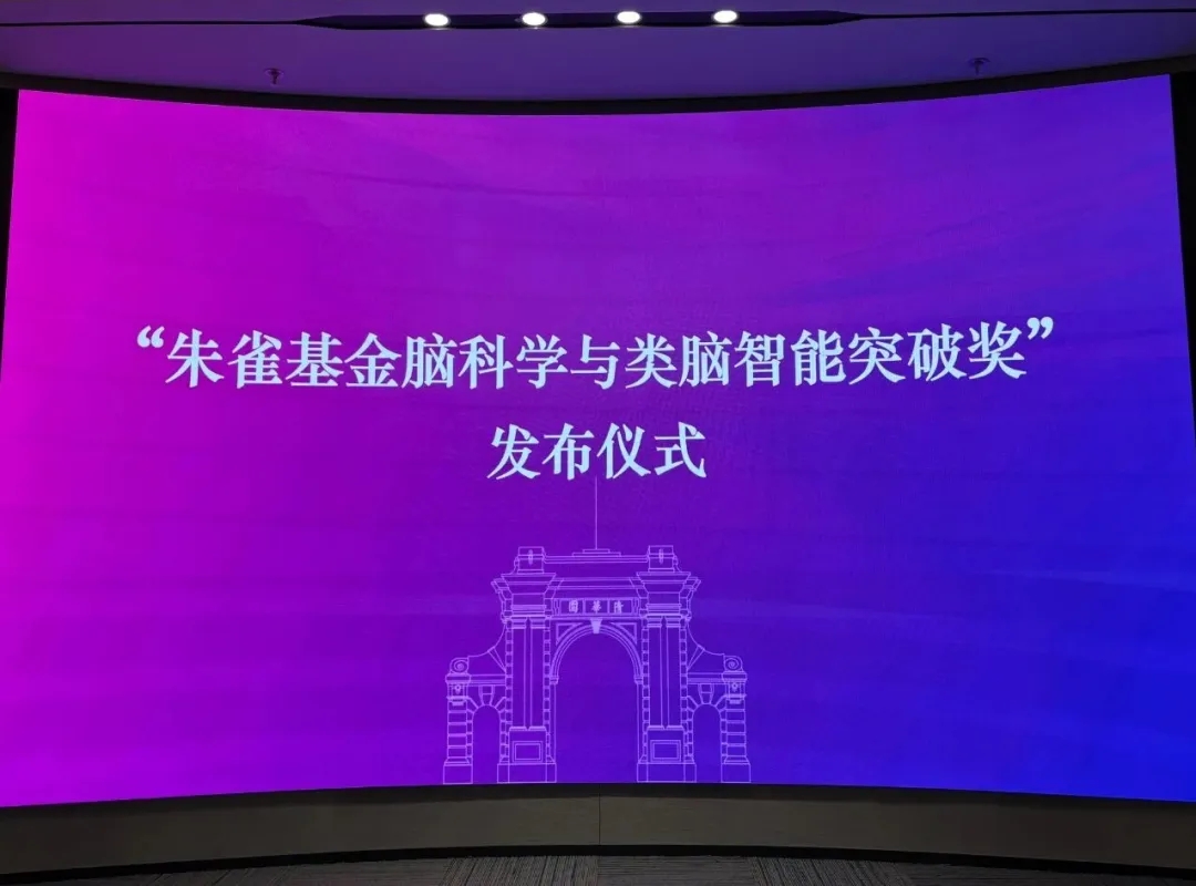 脑科学.jpg